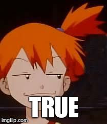 Derp Face Misty | TRUE | image tagged in derp face misty | made w/ Imgflip meme maker