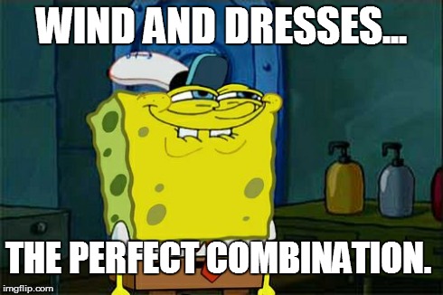 Don't You Squidward Meme | WIND AND DRESSES... THE PERFECT COMBINATION. | image tagged in memes,dont you squidward | made w/ Imgflip meme maker