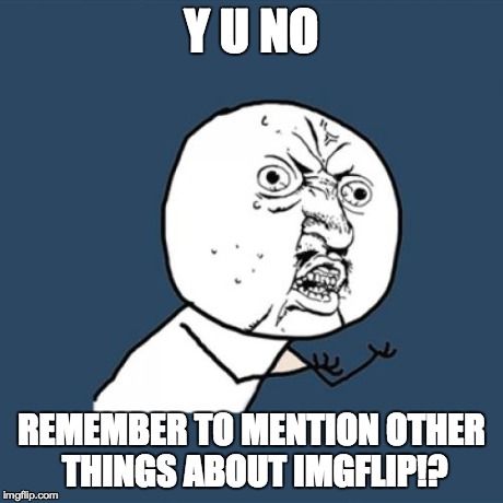 Y U No Meme | Y U NO REMEMBER TO MENTION OTHER THINGS ABOUT IMGFLIP!? | image tagged in memes,y u no | made w/ Imgflip meme maker