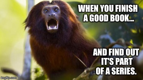 Oh Noes Monkey. | WHEN YOU FINISH A GOOD BOOK... AND FIND OUT IT'S PART OF A SERIES. | image tagged in oh noes monkey | made w/ Imgflip meme maker
