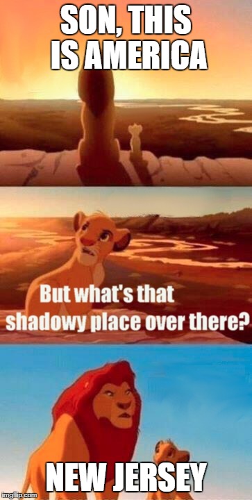 Simba Shadowy Place Meme | SON, THIS IS AMERICA NEW JERSEY | image tagged in memes,simba shadowy place | made w/ Imgflip meme maker