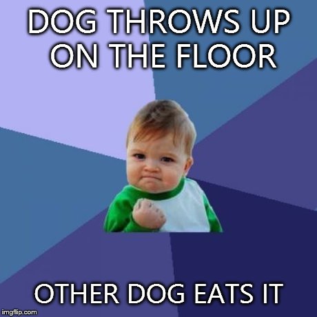 Success Kid | DOG THROWS UP ON THE FLOOR OTHER DOG EATS IT | image tagged in memes,success kid | made w/ Imgflip meme maker