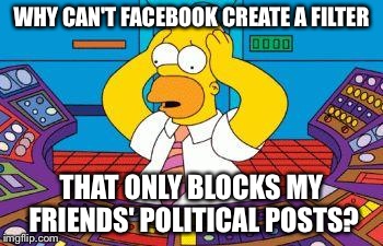 To press LIKE or NOT on Facebook | WHY CAN'T FACEBOOK CREATE A FILTER THAT ONLY BLOCKS MY FRIENDS' POLITICAL POSTS? | image tagged in to press like or not on facebook | made w/ Imgflip meme maker