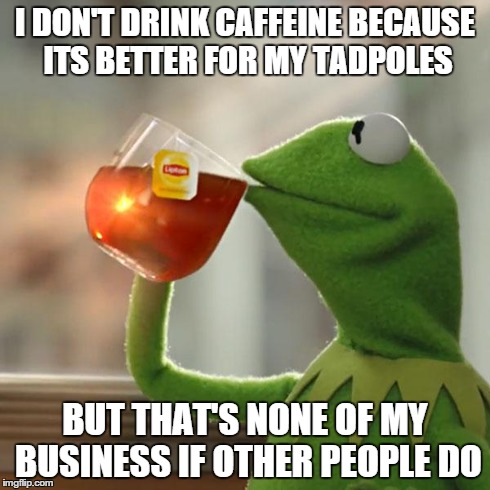 But That's None Of My Business Meme | I DON'T DRINK CAFFEINE BECAUSE ITS BETTER FOR MY TADPOLES BUT THAT'S NONE OF MY BUSINESS IF OTHER PEOPLE DO | image tagged in memes,but thats none of my business,kermit the frog | made w/ Imgflip meme maker