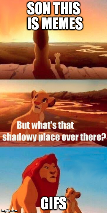 Simba Shadowy Place Meme | SON THIS IS MEMES GIFS | image tagged in memes,simba shadowy place | made w/ Imgflip meme maker