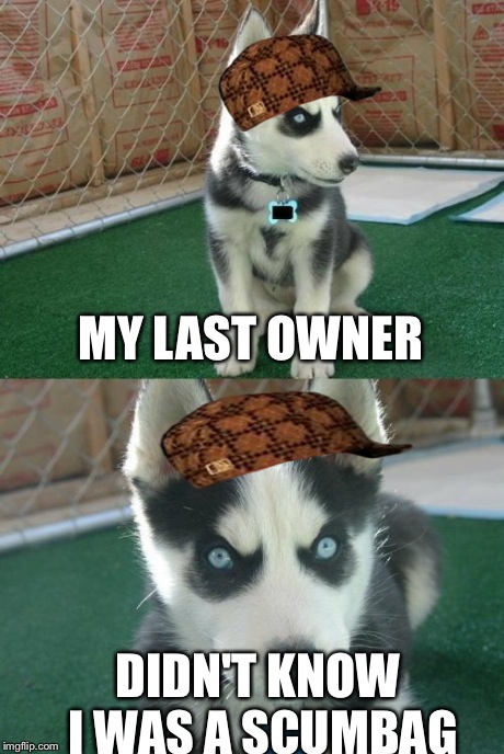 Insanity Puppy | MY LAST OWNER DIDN'T KNOW I WAS A SCUMBAG | image tagged in memes,insanity puppy,scumbag | made w/ Imgflip meme maker