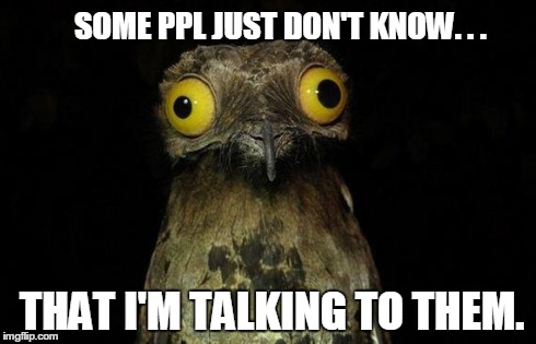lonely bird | SOME PPL JUST DON'T KNOW. . . THAT I'M TALKING TO THEM. | image tagged in memes,weird stuff i do potoo | made w/ Imgflip meme maker