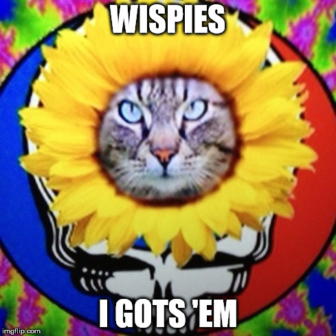 WISPIES I GOTS 'EM | made w/ Imgflip meme maker