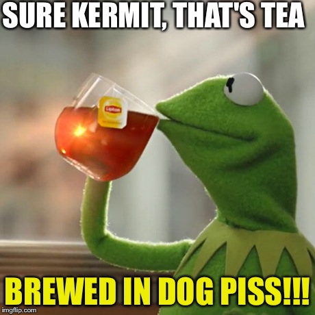 But That's None Of My Business | SURE KERMIT, THAT'S TEA BREWED IN DOG PISS!!! | image tagged in memes,but thats none of my business,kermit the frog | made w/ Imgflip meme maker