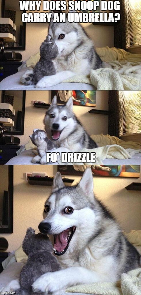 Bad Pun Dog | WHY DOES SNOOP DOG CARRY AN UMBRELLA? FO' DRIZZLE | image tagged in memes,bad pun dog | made w/ Imgflip meme maker