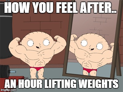 HOW YOU FEEL AFTER.. AN HOUR LIFTING WEIGHTS | image tagged in gym,weight lifting | made w/ Imgflip meme maker