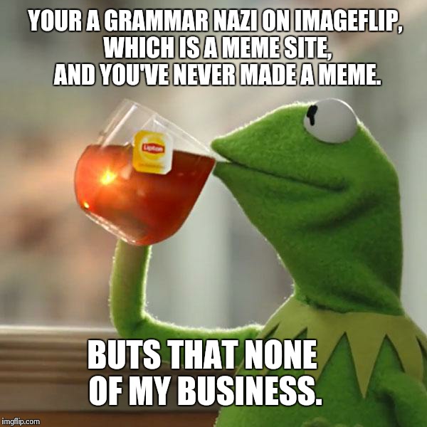 But That's None Of My Business Meme | YOUR A GRAMMAR NAZI ON IMAGEFLIP, WHICH IS A MEME SITE, AND YOU'VE NEVER MADE A MEME. BUTS THAT NONE OF MY BUSINESS. | image tagged in memes,but thats none of my business,kermit the frog | made w/ Imgflip meme maker