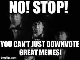 No! Stop! | NO! STOP! YOU CAN'T JUST DOWNVOTE GREAT MEMES! | image tagged in no stop | made w/ Imgflip meme maker