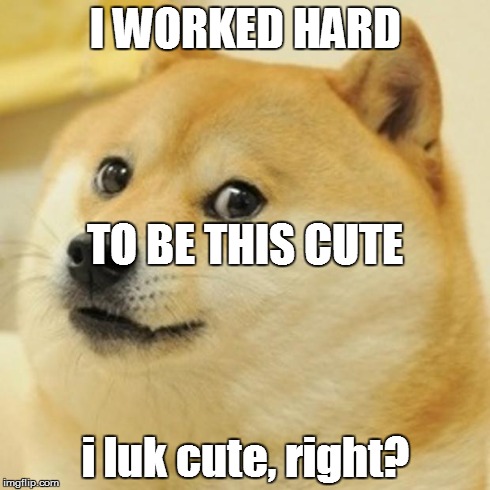 Doge | I WORKED HARD i luk cute, right? TO BE THIS CUTE | image tagged in memes,doge | made w/ Imgflip meme maker