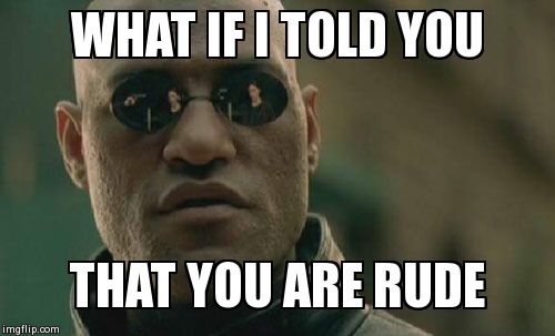 Matrix Morpheus Meme | WHAT IF I TOLD YOU THAT YOU ARE RUDE | image tagged in memes,matrix morpheus | made w/ Imgflip meme maker