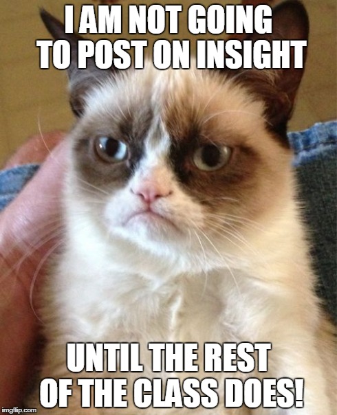 Grumpy Cat Meme | I AM NOT GOING TO POST ON INSIGHT UNTIL THE REST OF THE CLASS DOES! | image tagged in memes,grumpy cat | made w/ Imgflip meme maker