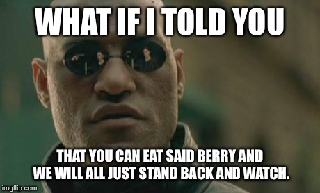 Matrix Morpheus Meme | WHAT IF I TOLD YOU THAT YOU CAN EAT SAID BERRY AND WE WILL ALL JUST STAND BACK AND WATCH. | image tagged in memes,matrix morpheus | made w/ Imgflip meme maker