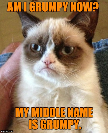 Grumpy Cat | AM I GRUMPY NOW? MY MIDDLE NAME IS GRUMPY. | image tagged in memes,grumpy cat | made w/ Imgflip meme maker