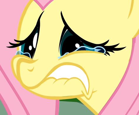 High Quality Fluttershy Cry Blank Meme Template
