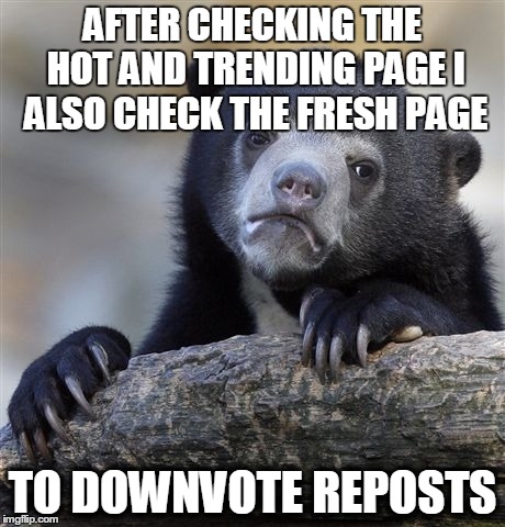 Confession Bear | AFTER CHECKING THE HOT AND TRENDING PAGE I ALSO CHECK THE FRESH PAGE TO DOWNVOTE REPOSTS | image tagged in memes,confession bear | made w/ Imgflip meme maker