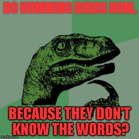 Philosoraptor | DO HUMMING BIRDS HUM, BECAUSE THEY DON'T KNOW THE WORDS? | image tagged in memes,philosoraptor | made w/ Imgflip meme maker