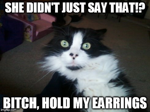 No she didn't!! | SHE DIDN'T JUST SAY THAT!? B**CH, HOLD MY EARRINGS | image tagged in earrings | made w/ Imgflip meme maker