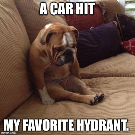 Bad day. | A CAR HIT MY FAVORITE HYDRANT. | image tagged in sad dog | made w/ Imgflip meme maker