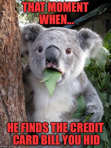 Surprised Koala | THAT MOMENT WHEN... HE FINDS THE CREDIT CARD BILL YOU HID | image tagged in memes,surprised koala | made w/ Imgflip meme maker