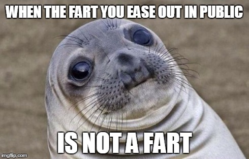 Awkward Moment Sealion Meme | WHEN THE FART YOU EASE OUT IN PUBLIC IS NOT A FART | image tagged in memes,awkward moment sealion | made w/ Imgflip meme maker