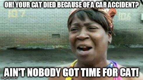 Ain't Nobody Got Time For That Meme | OH! YOUR CAT DIED BECAUSE OF A CAR ACCIDENT? AIN'T NOBODY GOT TIME FOR CAT! | image tagged in memes,aint nobody got time for that | made w/ Imgflip meme maker