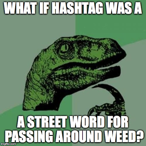 Philosoraptor | WHAT IF HASHTAG WAS A A STREET WORD FOR PASSING AROUND WEED? | image tagged in memes,philosoraptor | made w/ Imgflip meme maker