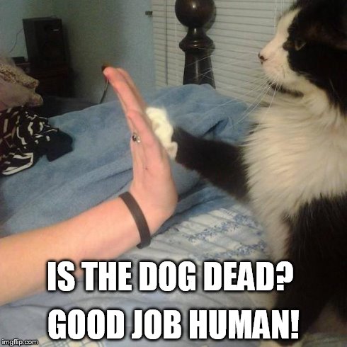 Is he dead? | IS THE DOG DEAD? GOOD JOB HUMAN! | image tagged in human,dead,dog,good job | made w/ Imgflip meme maker