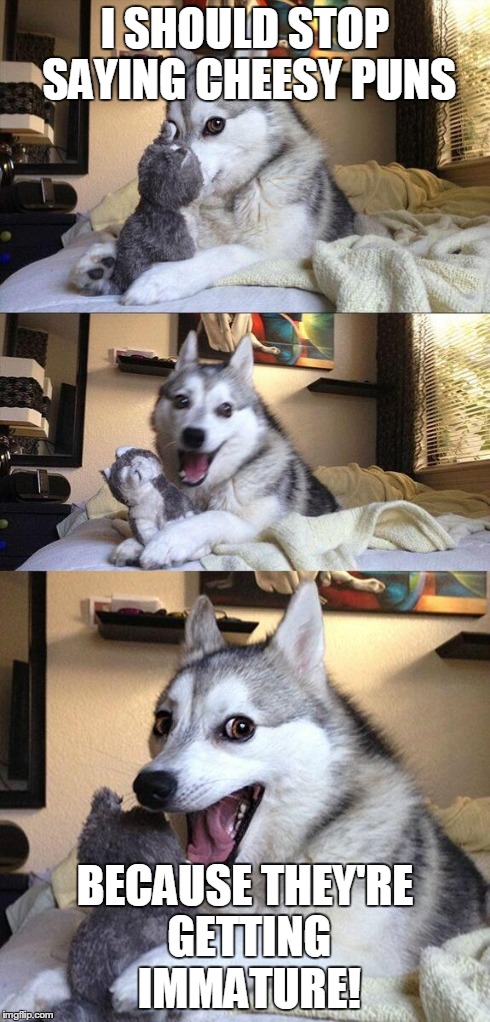 Bad Pun Dog | I SHOULD STOP SAYING CHEESY PUNS BECAUSE THEY'RE GETTING IMMATURE! | image tagged in memes,bad pun dog | made w/ Imgflip meme maker