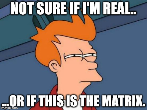 Reality or Matrix | NOT SURE IF I'M REAL.. ...OR IF THIS IS THE MATRIX. | image tagged in memes,futurama fry | made w/ Imgflip meme maker