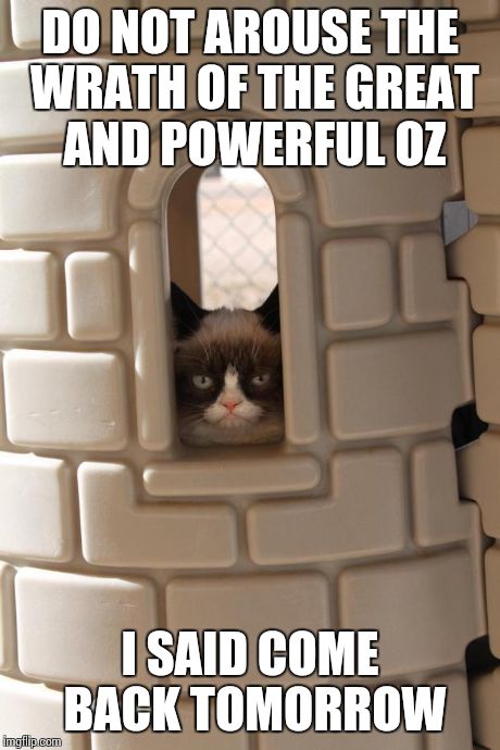The Wizard of Paws | DO NOT AROUSE THE WRATH OF THE GREAT AND POWERFUL OZ I SAID COME BACK TOMORROW | image tagged in castle cat,memes | made w/ Imgflip meme maker