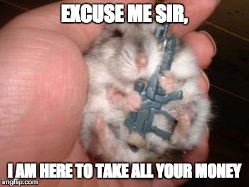 EXCUSE ME SIR, I AM HERE TO TAKE ALL YOUR MONEY | image tagged in gerbil | made w/ Imgflip meme maker