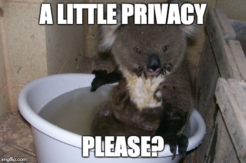 A LITTLE PRIVACY PLEASE? | image tagged in kawaii | made w/ Imgflip meme maker