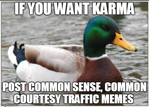 Actual Advice Mallard | IF YOU WANT KARMA POST COMMON SENSE, COMMON COURTESY TRAFFIC MEMES | image tagged in memes,actual advice mallard | made w/ Imgflip meme maker