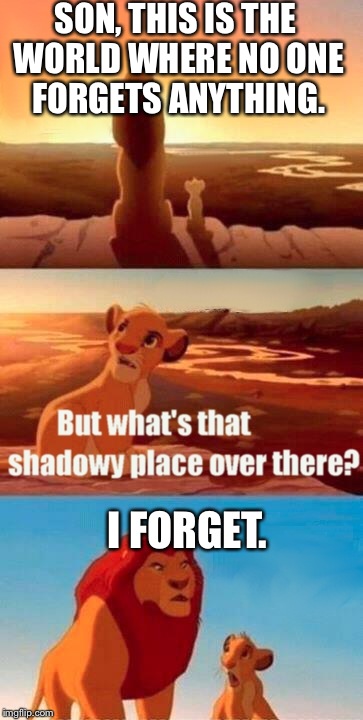 Simba shadowy place | SON, THIS IS THE WORLD WHERE NO ONE FORGETS ANYTHING. I FORGET. | image tagged in memes,simba shadowy place | made w/ Imgflip meme maker