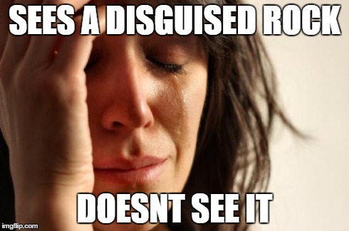 First World Problems Meme | SEES A DISGUISED ROCK DOESNT SEE IT | image tagged in memes,first world problems | made w/ Imgflip meme maker