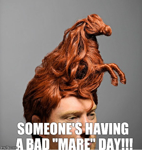 Bad mare | SOMEONE'S HAVING A BAD "MARE" DAY!!! | image tagged in animals | made w/ Imgflip meme maker