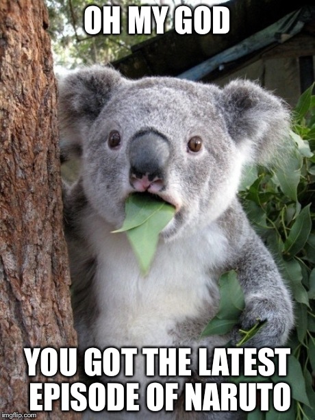 Surprised Koala Meme | OH MY GOD YOU GOT THE LATEST EPISODE OF NARUTO | image tagged in memes,surprised coala | made w/ Imgflip meme maker