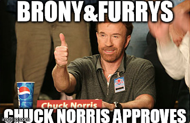 Chuck Norris Approves Meme | BRONY&FURRYS CHUCK NORRIS APPROVES | image tagged in memes,chuck norris approves | made w/ Imgflip meme maker