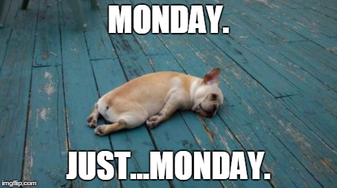 tired dog | MONDAY. JUST...MONDAY. | image tagged in tired dog | made w/ Imgflip meme maker