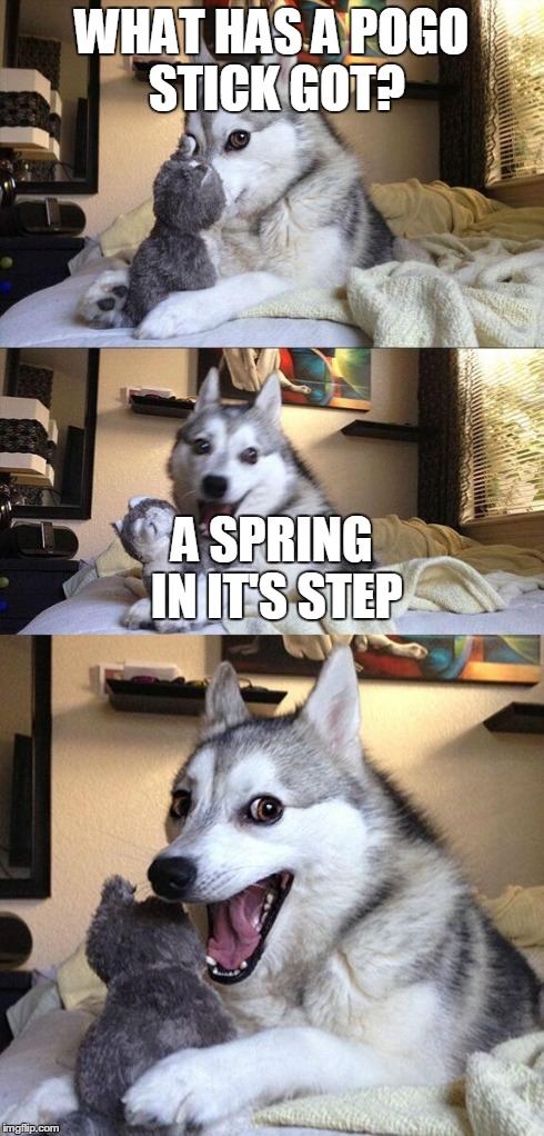 Bad Pun Dog | WHAT HAS A POGO STICK GOT? A SPRING IN IT'S STEP | image tagged in memes,bad pun dog | made w/ Imgflip meme maker