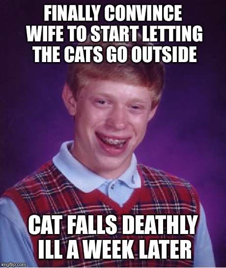 Bad Luck Brian Meme | FINALLY CONVINCE WIFE TO START LETTING THE CATS GO OUTSIDE CAT FALLS DEATHLY ILL A WEEK LATER | image tagged in memes,bad luck brian,AdviceAnimals | made w/ Imgflip meme maker