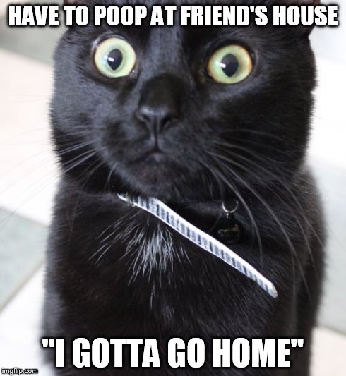 Woah Kitty | HAVE TO POOP AT FRIEND'S HOUSE "I GOTTA GO HOME" | image tagged in memes,woah kitty | made w/ Imgflip meme maker