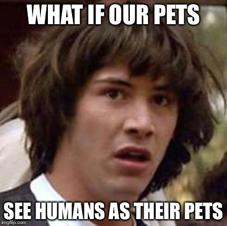 Conspiracy Keanu Meme | WHAT IF OUR PETS SEE HUMANS AS THEIR PETS | image tagged in memes,conspiracy keanu | made w/ Imgflip meme maker