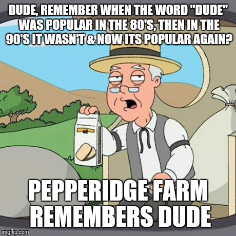 Dude | DUDE, REMEMBER WHEN THE WORD "DUDE" WAS POPULAR IN THE 80'S, THEN IN THE 90'S IT WASN'T & NOW ITS POPULAR AGAIN? PEPPERIDGE FARM REMEMBERS D | image tagged in memes,pepperidge farm remembers | made w/ Imgflip meme maker