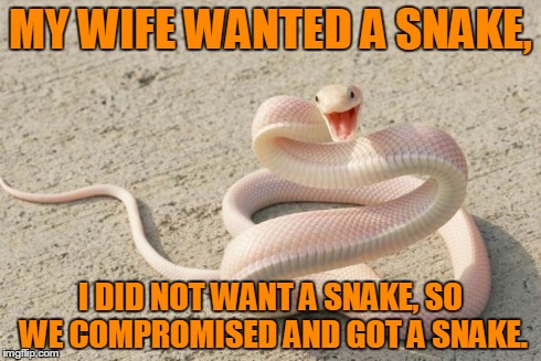 Snakememe | MY WIFE WANTED A SNAKE, I DID NOT WANT A SNAKE, SO WE COMPROMISED AND GOT A SNAKE. | image tagged in snakememe | made w/ Imgflip meme maker